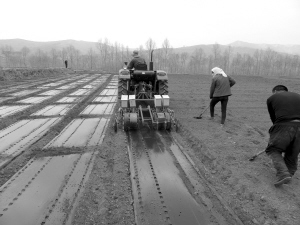 1460336287878580.jpg 1.jpg