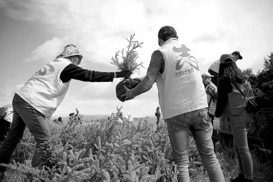 1461114195898150.jpg 1.jpg