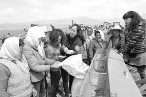 1461115216454645.jpg 1.jpg