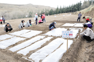 res01_attpic_brief (1).jpg