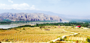 res03_attpic_brief (1).jpg