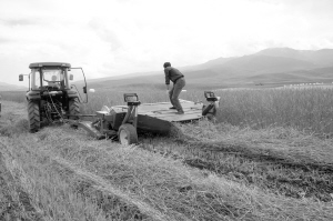 1463535271905688.jpg 1462298613763_1.jpg