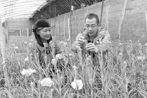 res01_attpic_brief (1).jpg