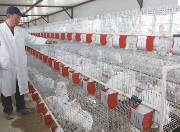 1484355823925795.jpg ww.JPG