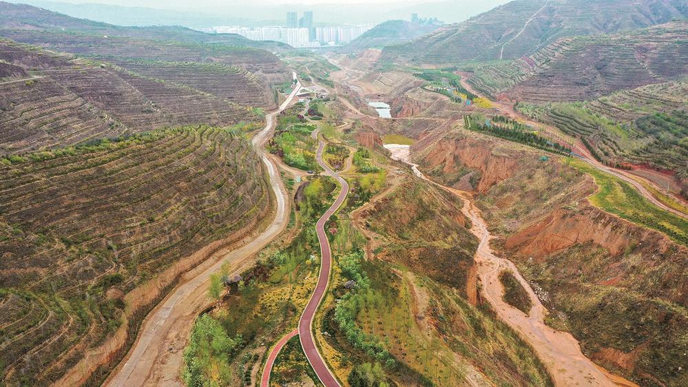 1653443968457641.jpg 1.jpg