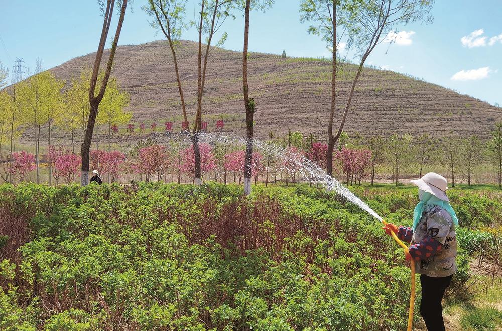 1653443973557193.jpg 2.jpg