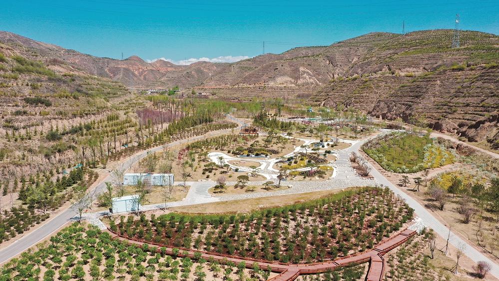 1653443978272259.jpg 3.jpg