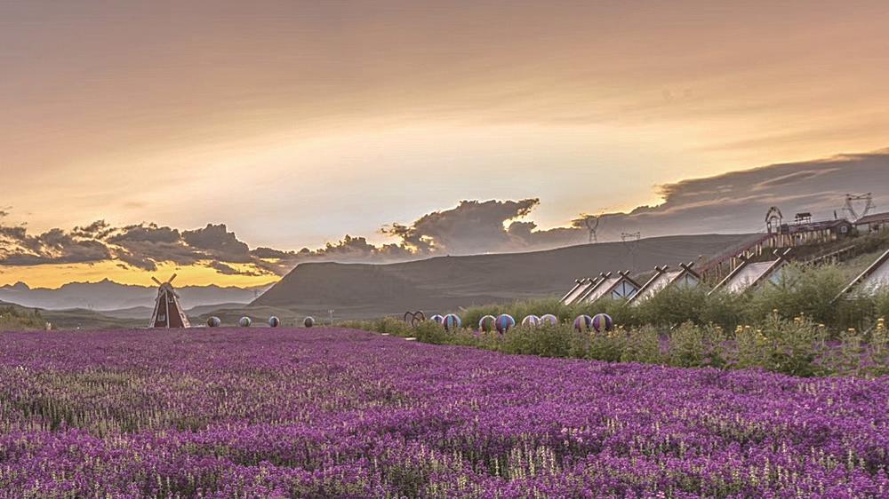 1654567582367196.jpg 2.jpg