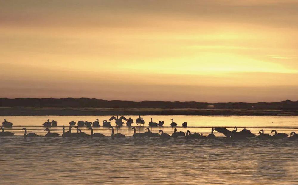 1654567587617155.jpg 3.jpg