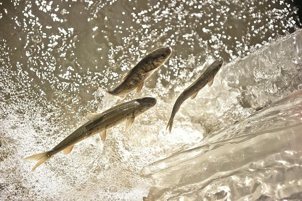 1654567897344891.jpg 3.jpg