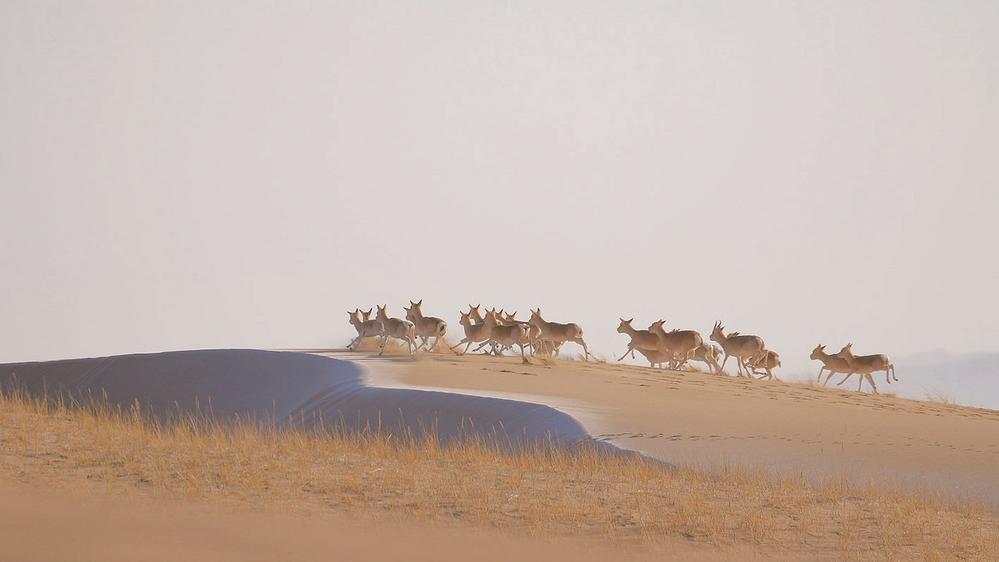 1654568016882154.jpg 2.jpg