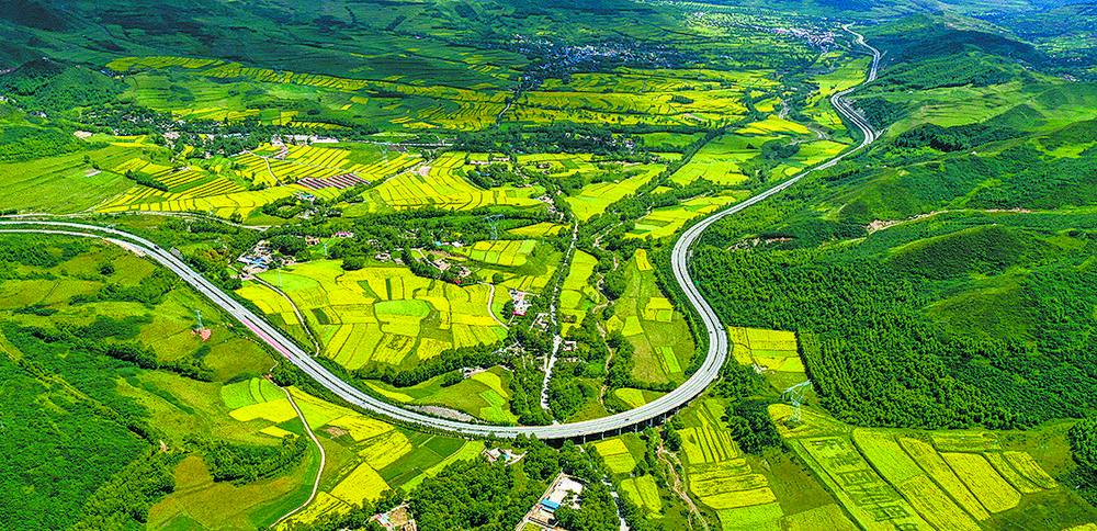 1654649855236939.jpg 1.jpg