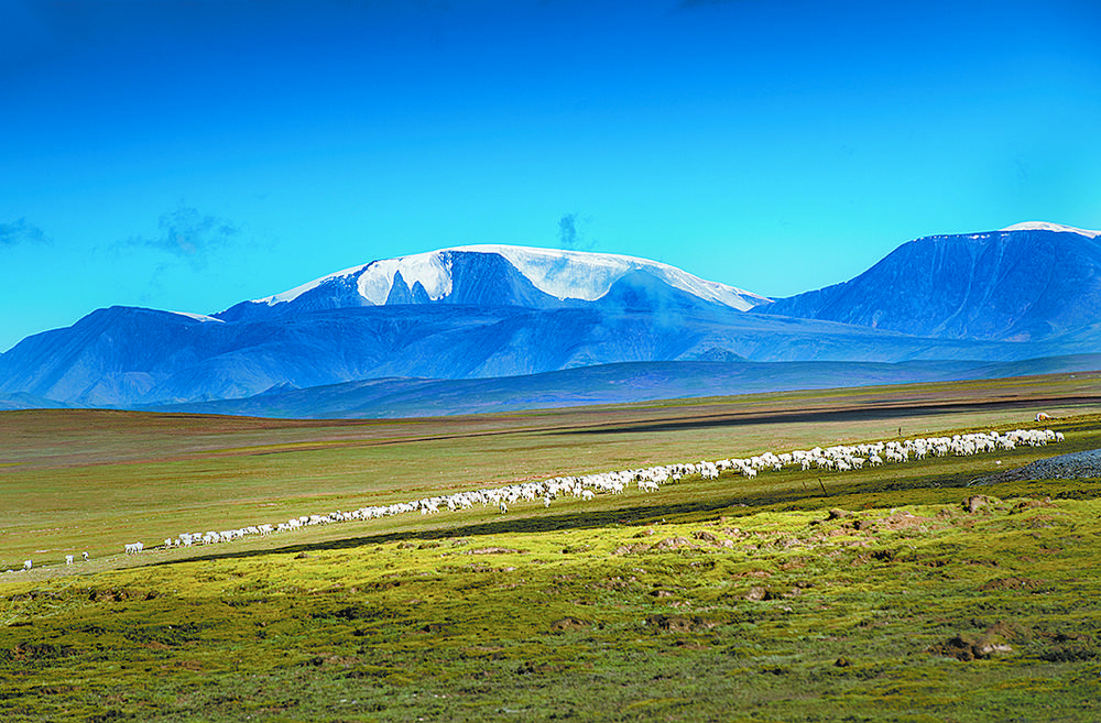 1654737661300475.jpg 01.jpg