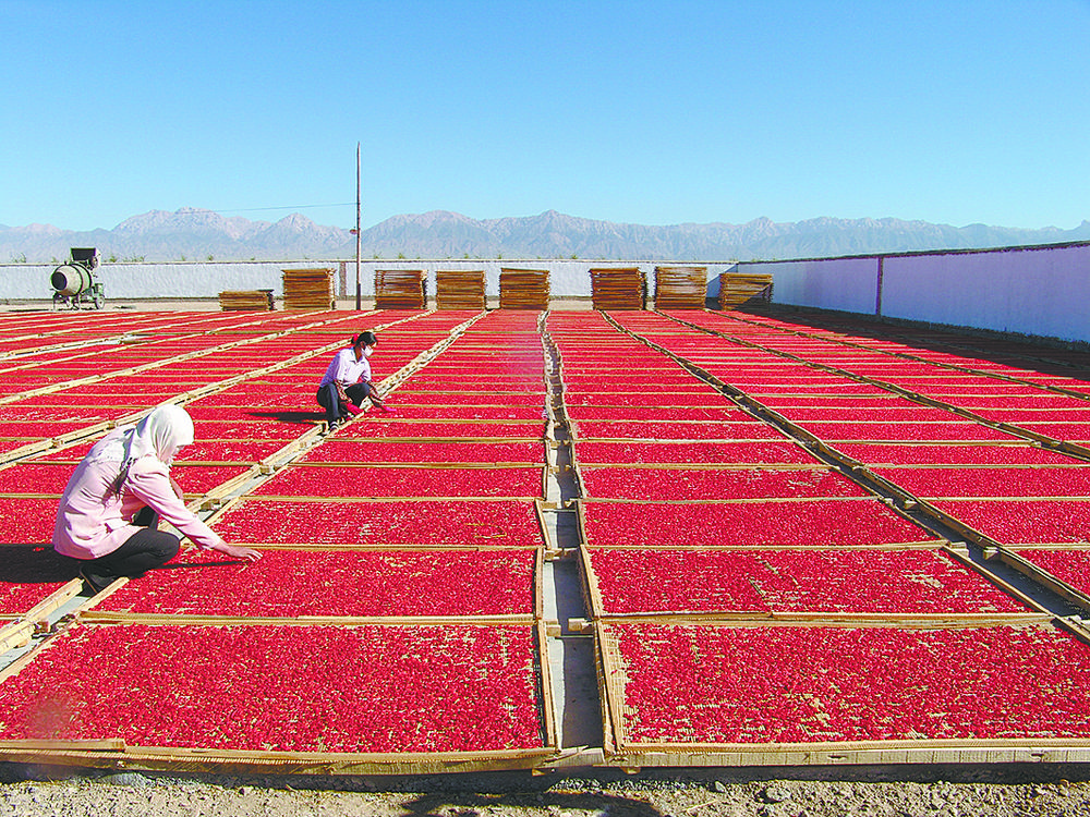 1654737675141178.jpg 2.jpg