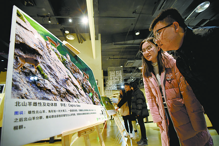 1654738126300868.jpg 1.jpg