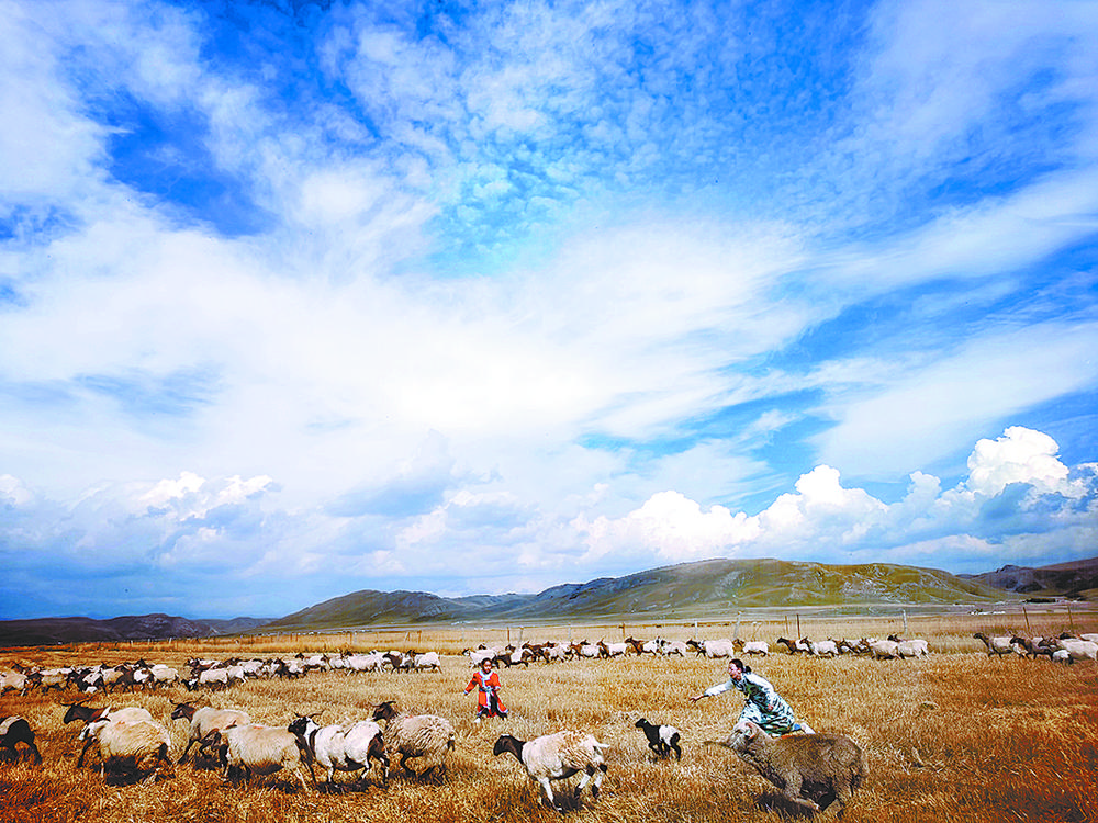 1654738155750160.jpg 3.jpg