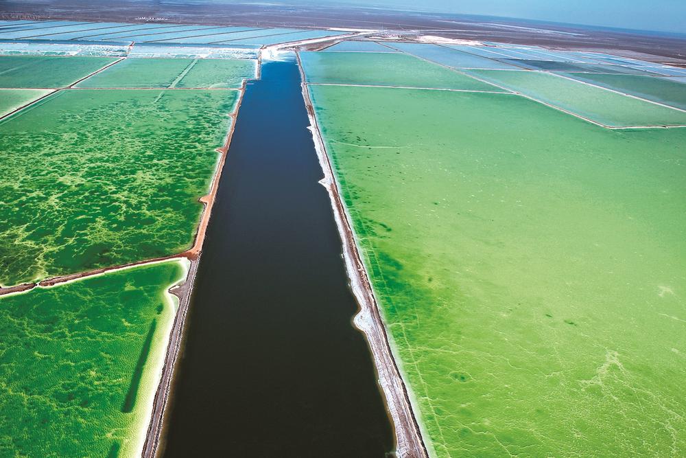 1654742954194027.jpg 3.jpg