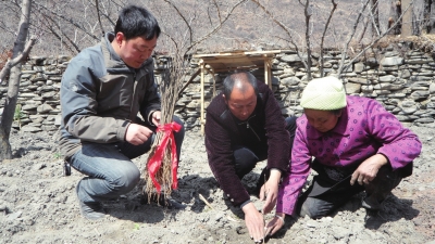 1459993169701303.jpg res01_attpic_brief (5).jpg