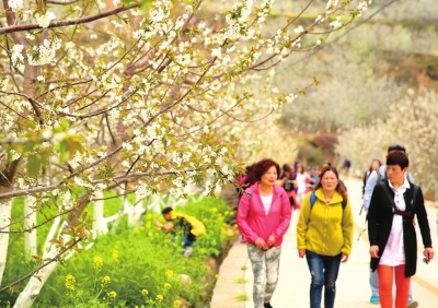 1460678413642093.jpg res01_attpic_brief.jpg