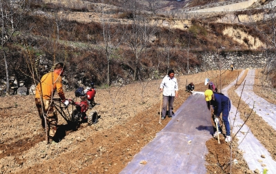 res01_attpic_brief (1).jpg