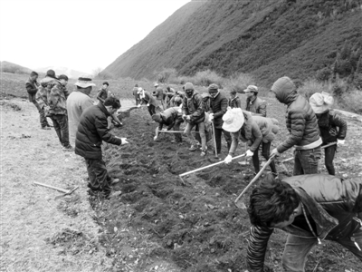 res01_attpic_brief (11).jpg