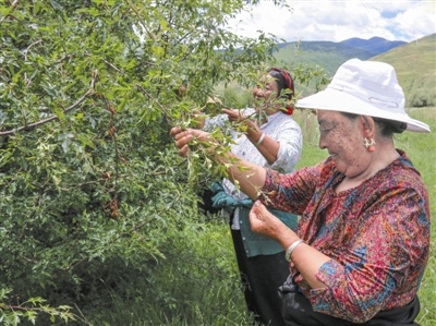 res04_attpic_brief (4).jpg