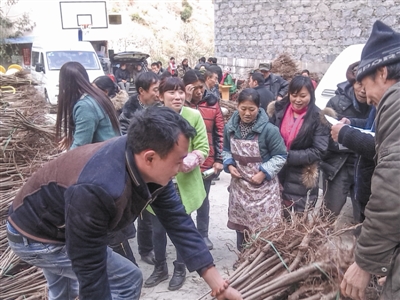 res10_attpic_brief (1).jpg