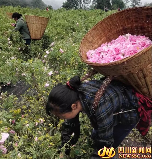 1464831527645875.png 2.png