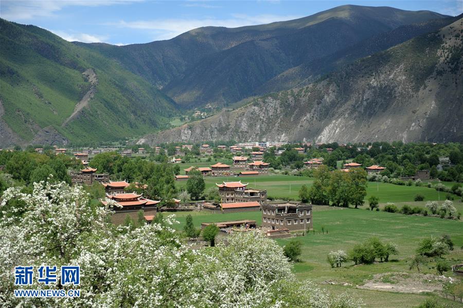 1465263777822933.jpg 1.jpg