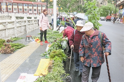 res04_attpic_brief (1).jpg