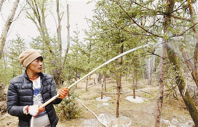 res04_attpic_brief (1).jpg