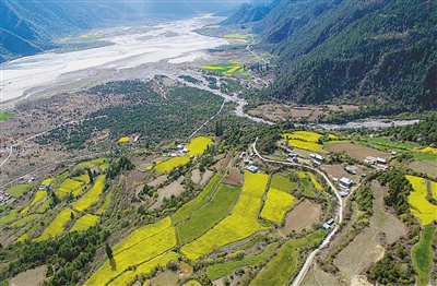 res01_attpic_brief (2).jpg