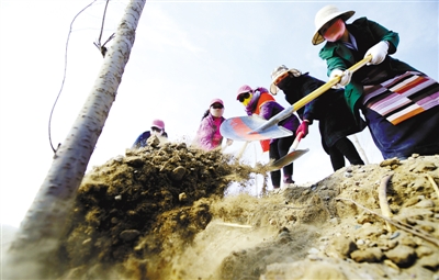 1460510587565175.jpg res01_attpic_brief.jpg