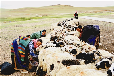 res01_attpic_brief (2).jpg