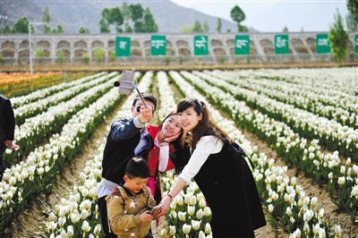 1462237166875193.jpg res04_attpic_brief.jpg