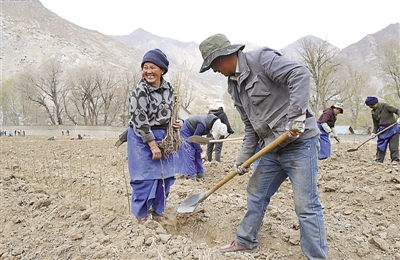 res01_attpic_brief (5).jpg