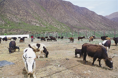 res01_attpic_brief (2).jpg