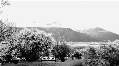 1465089067715243.jpg cc.jpg