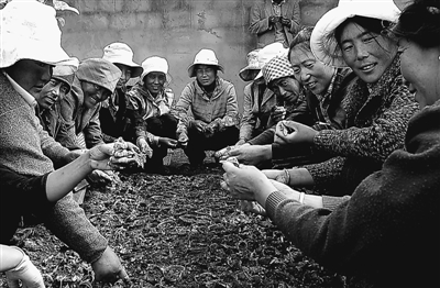 1465175465360864.jpg 1.jpg