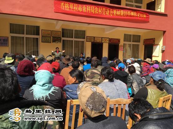 1462416390906755.jpg ec888feb507c189396f915.jpg