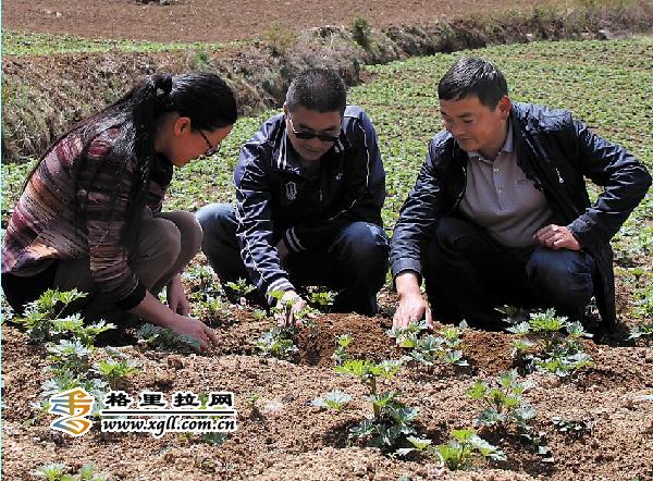 1463106314262882.jpg ec888feb4761189f6b5906.jpg