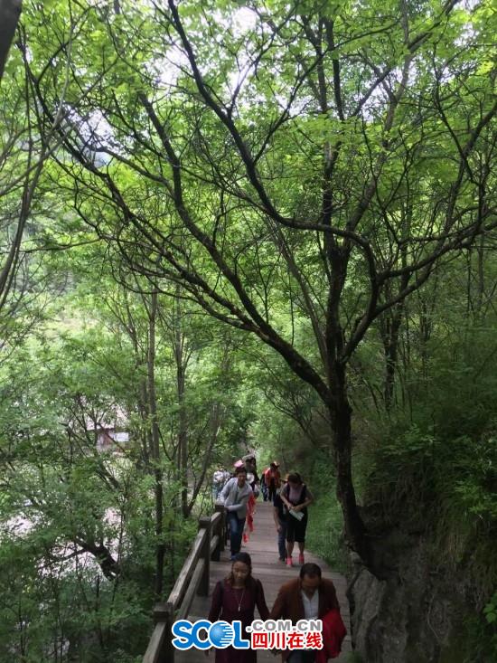 1465264108669553.jpg 1.jpg