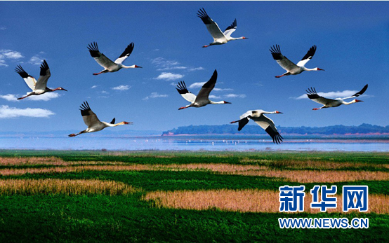 1457317752531023.png 2.png