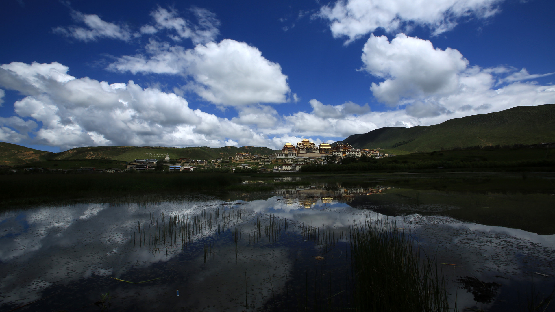 1460599320533093.jpg 1.jpg