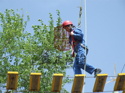 解剖團隊凝聚力拓展訓練的發(fā)展