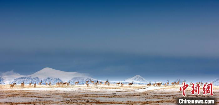 27人非法穿越青?？煽晌骼锉徊? oldsrc=