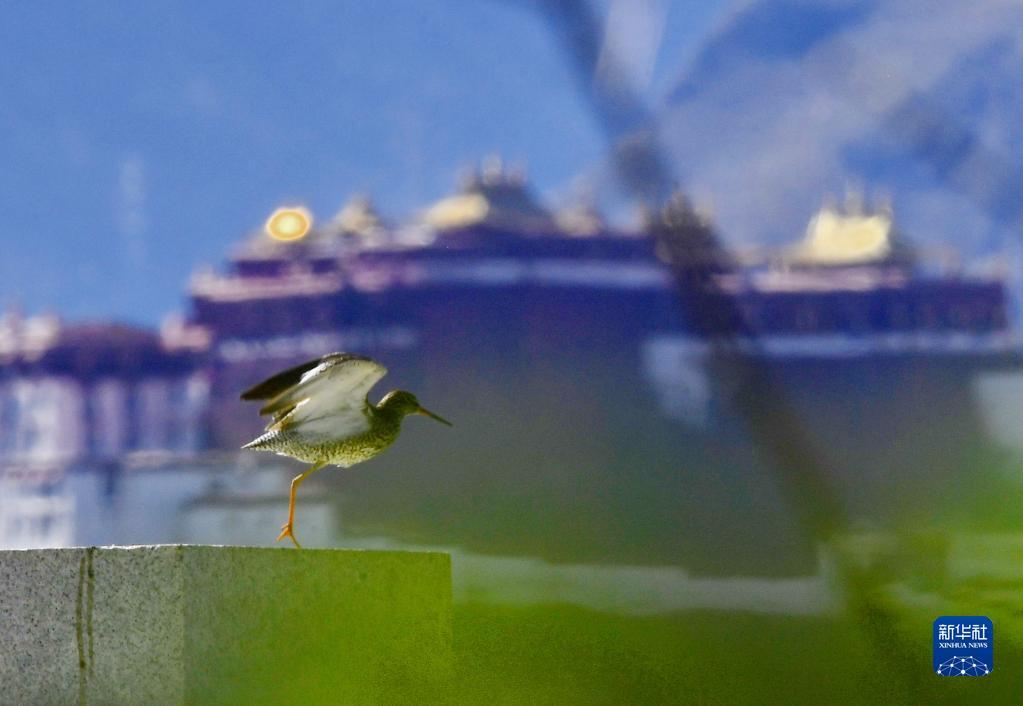 1656038498281677.jpg 1.jpg