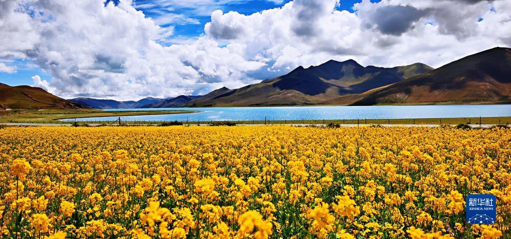 1659493114324698.jpg 1.jpg