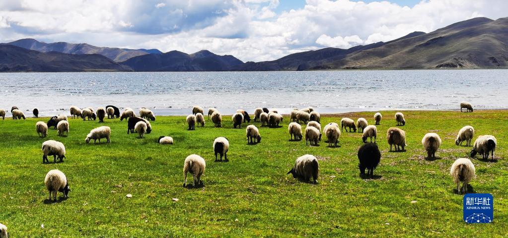 1659493123262226.jpg 3.jpg