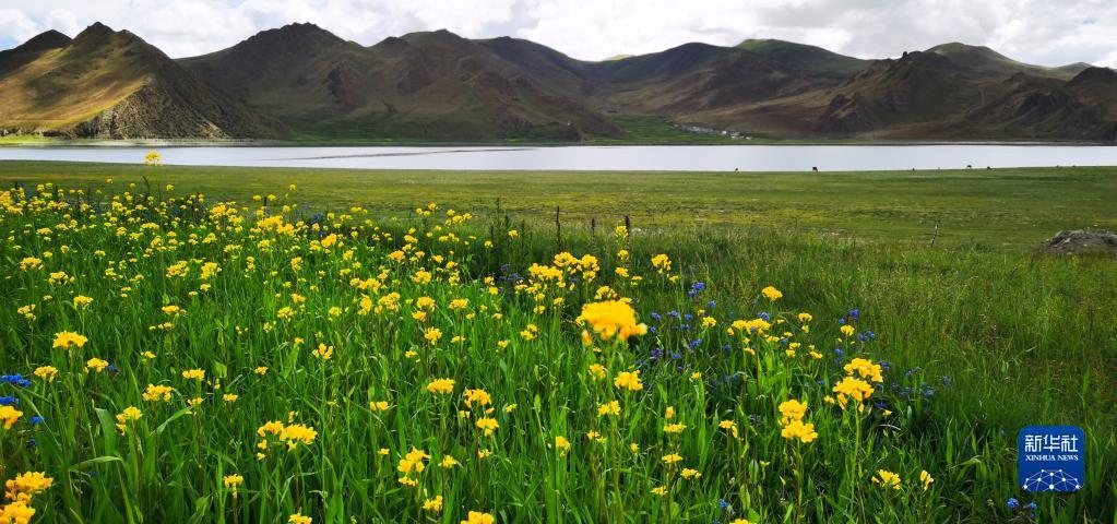 1659493147781316.jpg 7.jpg